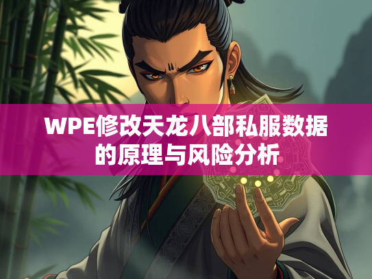 WPE修改天龙八部私服数据的原理与风险分析  第2张