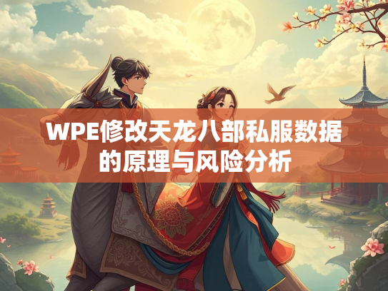 WPE修改天龙八部私服数据的原理与风险分析