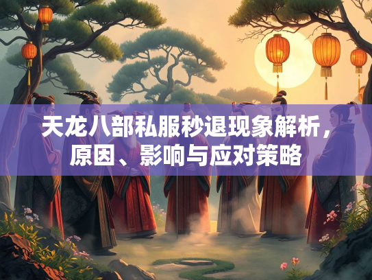 天龙八部私服秒退现象解析，原因、影响与应对策略  第5张