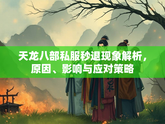 天龙八部私服秒退现象解析，原因、影响与应对策略