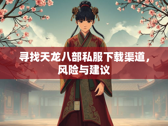 寻找天龙八部私服下载渠道，风险与建议  第5张