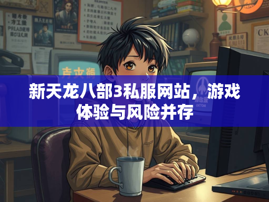 新天龙八部3私服网站，游戏体验与风险并存  第1张