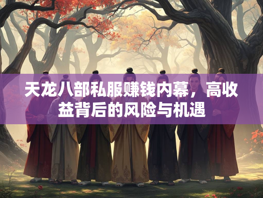 天龙八部私服赚钱内幕，高收益背后的风险与机遇  第4张