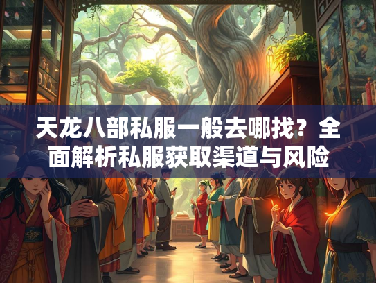 天龙八部私服一般去哪找？全面解析私服获取渠道与风险