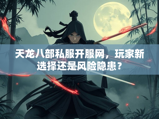 天龙八部私服开服网，玩家新选择还是风险隐患？  第4张