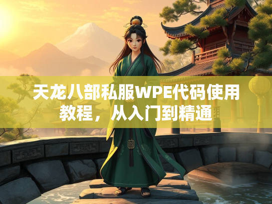 天龙八部私服WPE代码使用教程，从入门到精通  第4张
