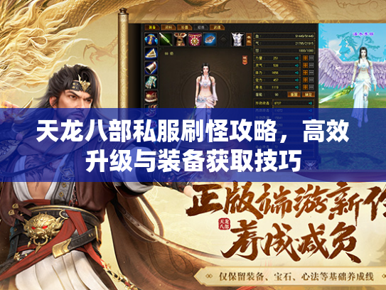 天龙八部私服刷怪攻略，高效升级与装备获取技巧