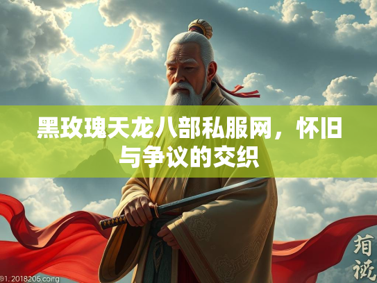 黑玫瑰天龙八部私服网，怀旧与争议的交织  第4张