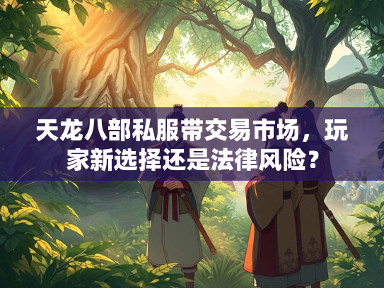 天龙八部私服带交易市场，玩家新选择还是法律风险？  第2张