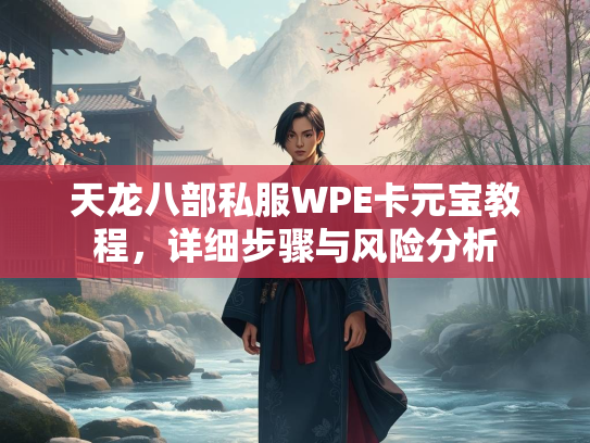 天龙八部私服WPE卡元宝教程，详细步骤与风险分析  第2张