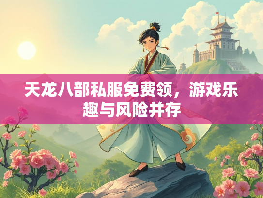天龙八部私服免费领，游戏乐趣与风险并存