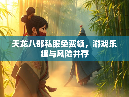 天龙八部私服免费领，游戏乐趣与风险并存