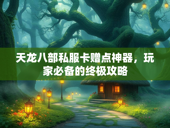 天龙八部私服卡赠点神器，玩家必备的终极攻略