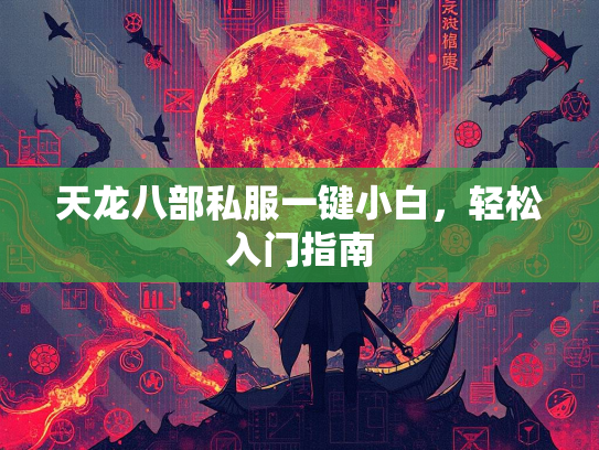 天龙八部私服一键小白，轻松入门指南