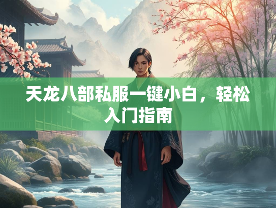 天龙八部私服一键小白，轻松入门指南