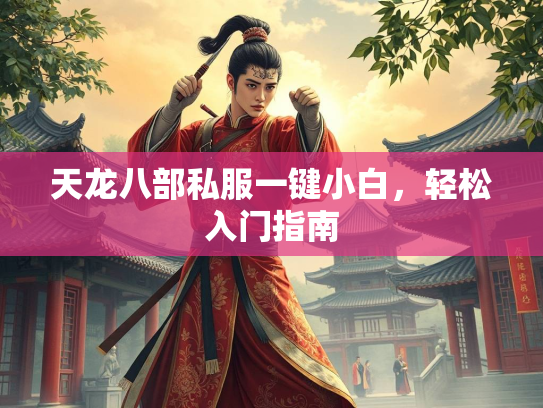 天龙八部私服一键小白，轻松入门指南