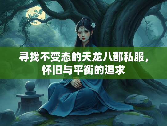 寻找不变态的天龙八部私服，怀旧与平衡的追求