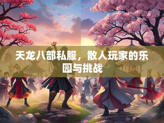 天龙八部私服，散人玩家的乐园与挑战  第4张
