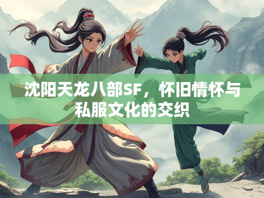 沈阳天龙八部SF，怀旧情怀与私服文化的交织