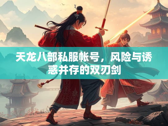 天龙八部私服帐号，风险与诱惑并存的双刃剑  第2张