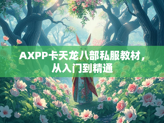AXPP卡天龙八部私服教材，从入门到精通  第3张