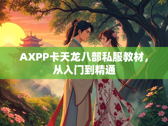 AXPP卡天龙八部私服教材，从入门到精通