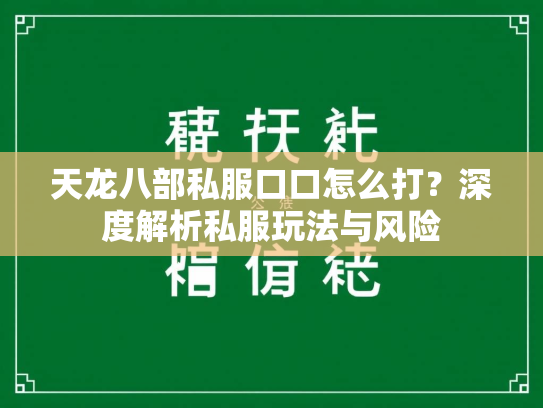 天龙八部私服口口怎么打？深度解析私服玩法与风险  第3张