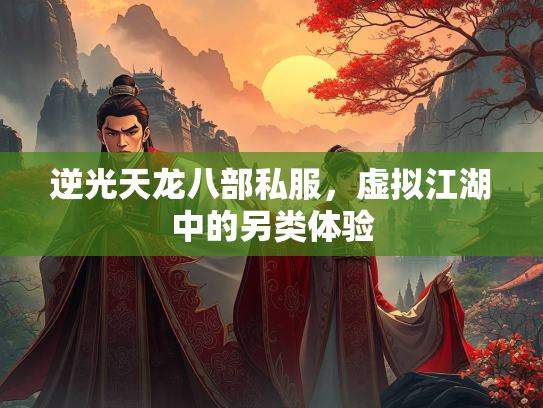 逆光天龙八部私服，虚拟江湖中的另类体验  第2张