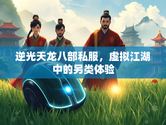 逆光天龙八部私服，虚拟江湖中的另类体验  第3张