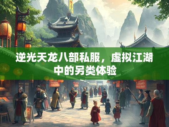 逆光天龙八部私服，虚拟江湖中的另类体验  第1张