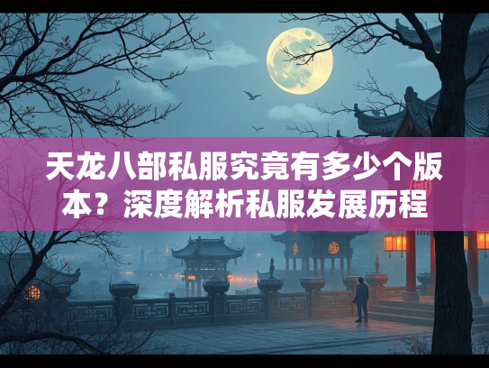 天龙八部私服究竟有多少个版本？深度解析私服发展历程