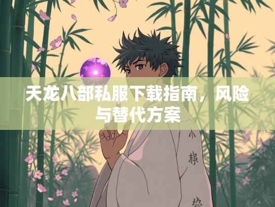 天龙八部私服下载指南，风险与替代方案  第3张