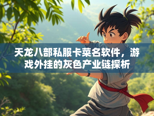 天龙八部私服卡菜名软件，游戏外挂的灰色产业链探析