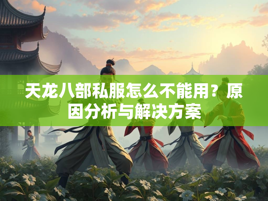 天龙八部私服怎么不能用？原因分析与解决方案  第2张