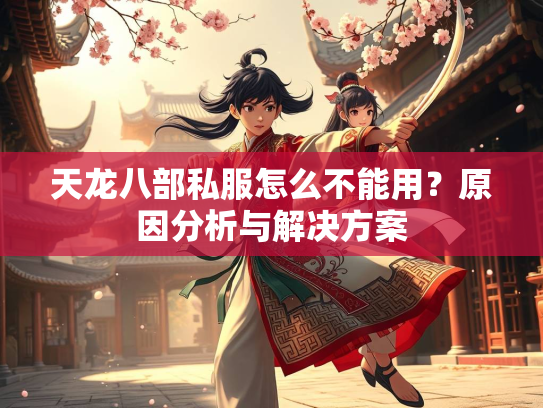 天龙八部私服怎么不能用？原因分析与解决方案  第3张