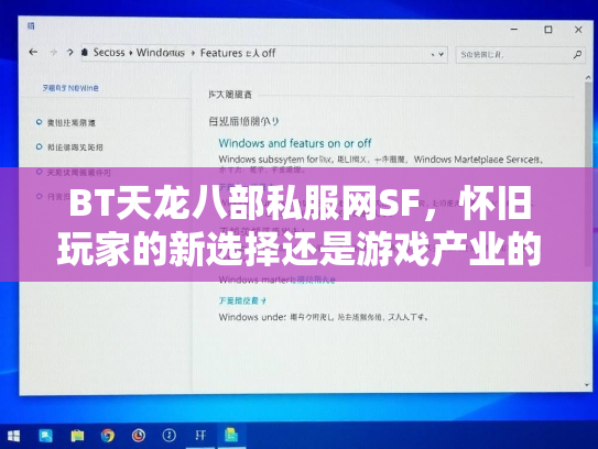 BT天龙八部私服网SF，怀旧玩家的新选择还是游戏产业的灰色地带？