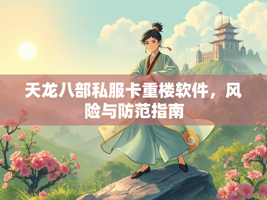 天龙八部私服卡重楼软件，风险与防范指南  第2张