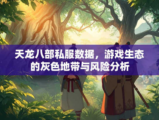 天龙八部私服数据，游戏生态的灰色地带与风险分析