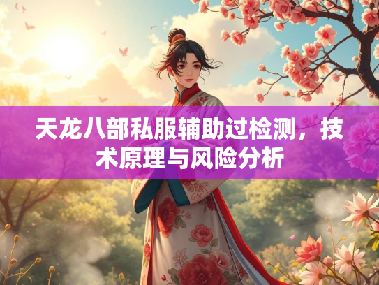 天龙八部私服辅助过检测，技术原理与风险分析