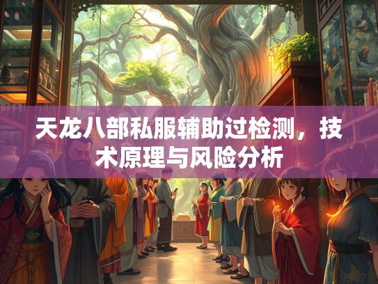 天龙八部私服辅助过检测，技术原理与风险分析
