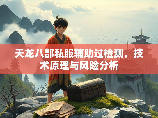 天龙八部私服辅助过检测，技术原理与风险分析