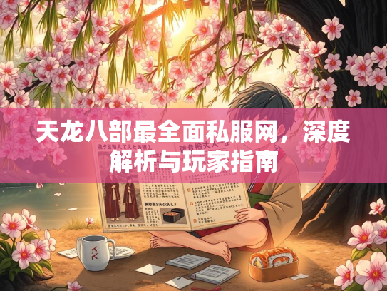 天龙八部最全面私服网，深度解析与玩家指南