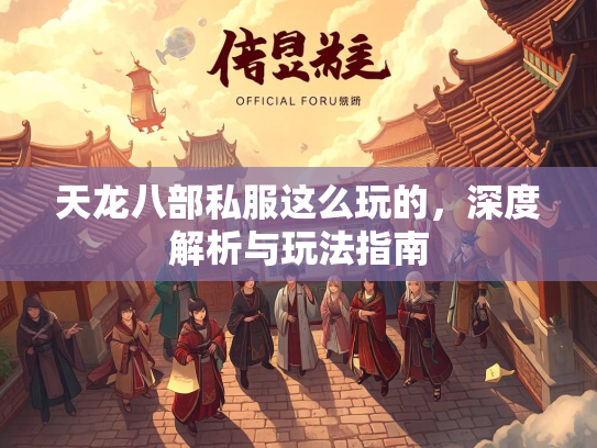 天龙八部私服这么玩的，深度解析与玩法指南