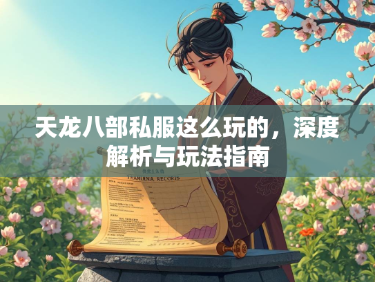 天龙八部私服这么玩的，深度解析与玩法指南