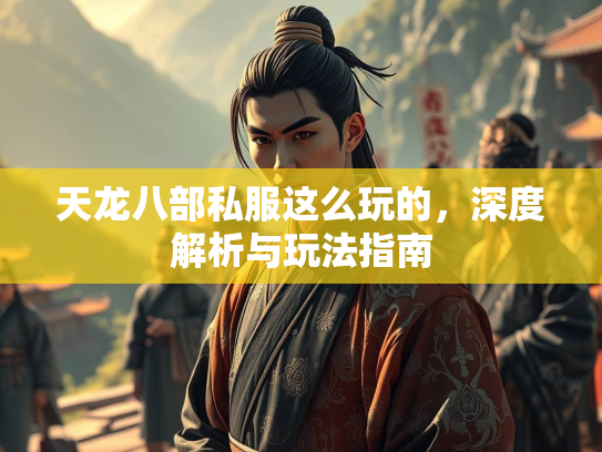 天龙八部私服这么玩的，深度解析与玩法指南