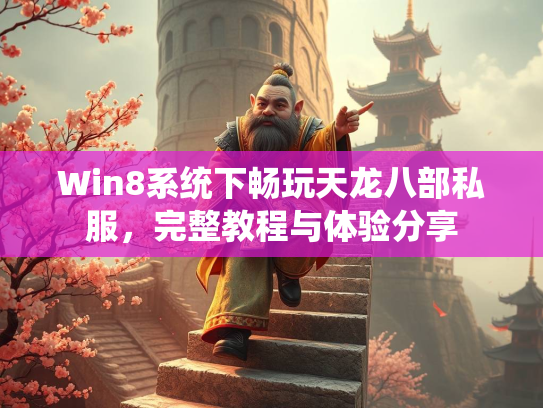 Win8系统下畅玩天龙八部私服，完整教程与体验分享  第2张