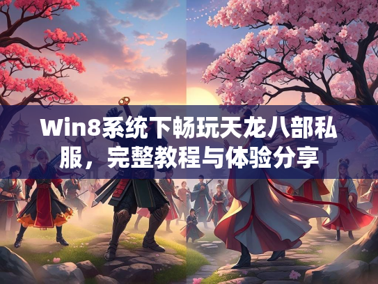 Win8系统下畅玩天龙八部私服，完整教程与体验分享  第3张