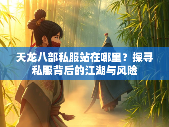 天龙八部私服站在哪里？探寻私服背后的江湖与风险  第4张