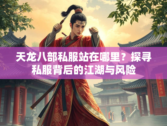 天龙八部私服站在哪里？探寻私服背后的江湖与风险