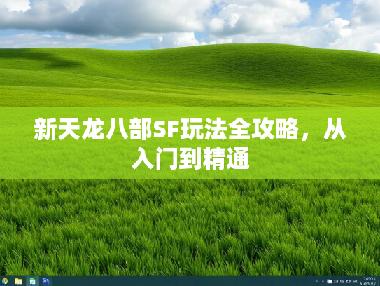 新天龙八部SF玩法全攻略，从入门到精通  第3张